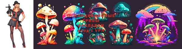 PSILOCYBIN Володарск